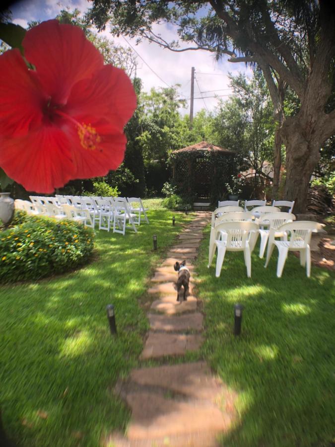 גלווסטון Avenue O Bed And Breakfast מראה חיצוני תמונה